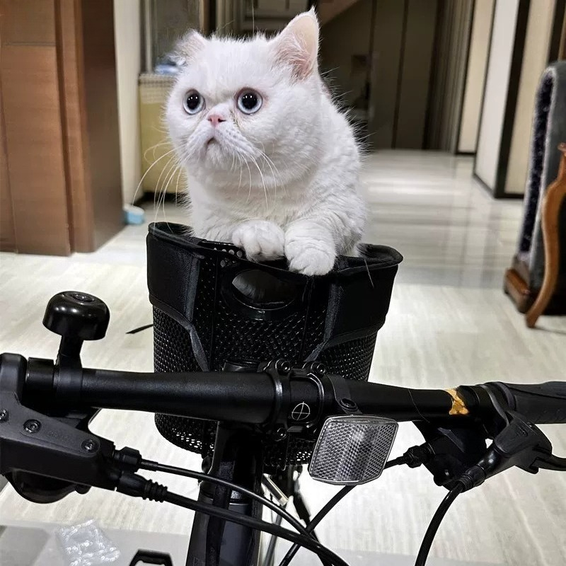 Foldable Bicycle Dog Basket,Pe - Mountain Biking With Dog recension och pris