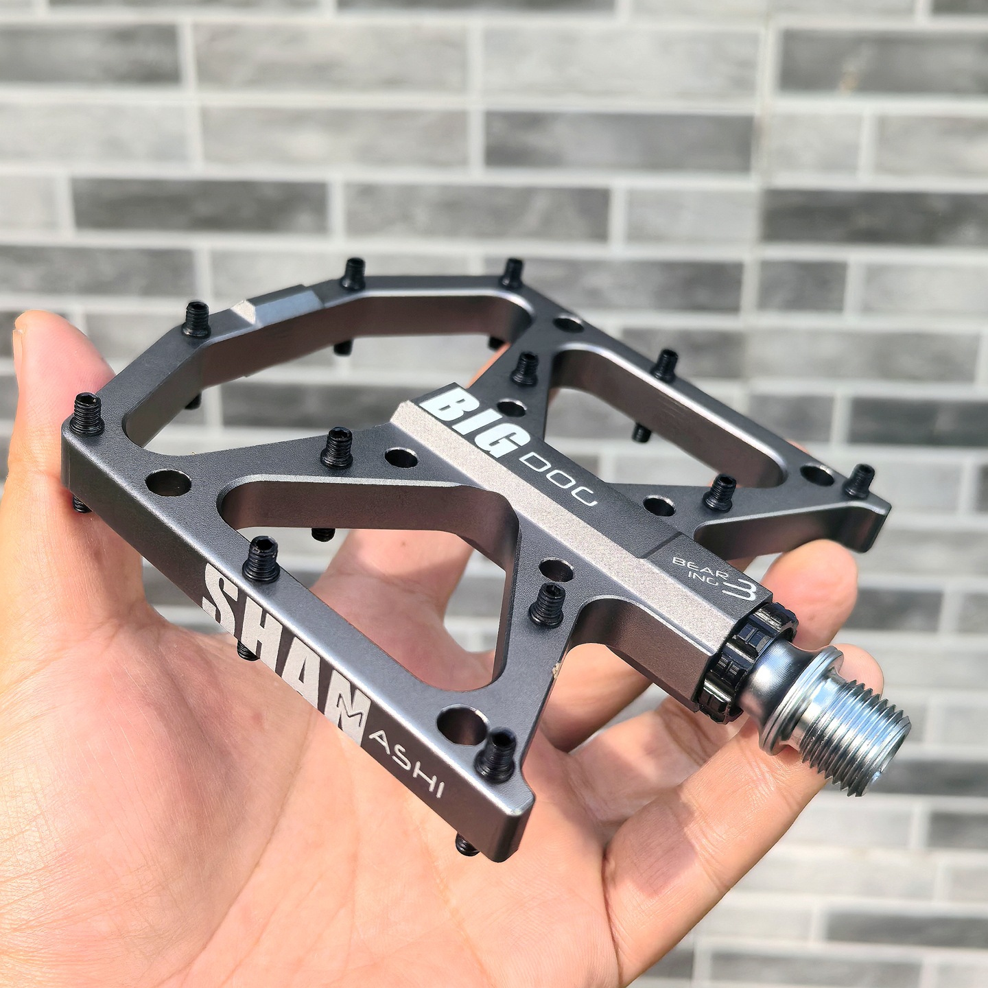 Big dog pedals mountain bike 3 - Mountain Biking With Dog recension och pris